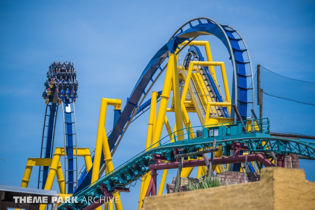 Montu at Busch Gardens Tampa