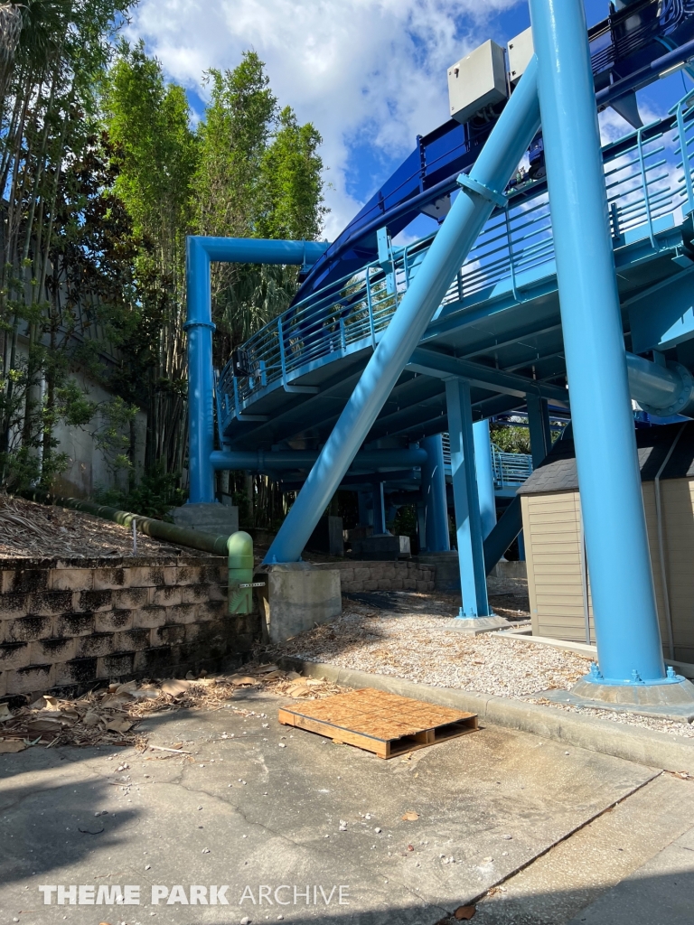 Manta at SeaWorld Orlando