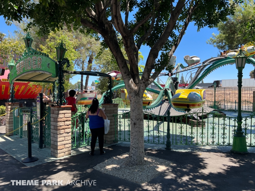 Spider at Castle Park