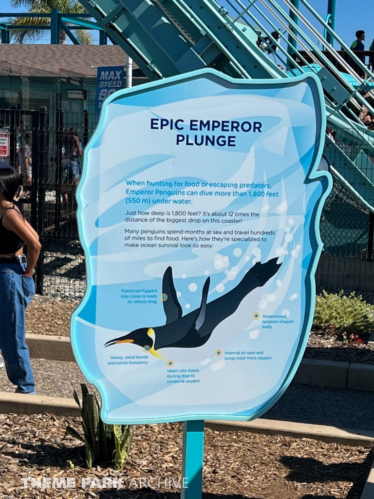 Emperor at SeaWorld San Diego