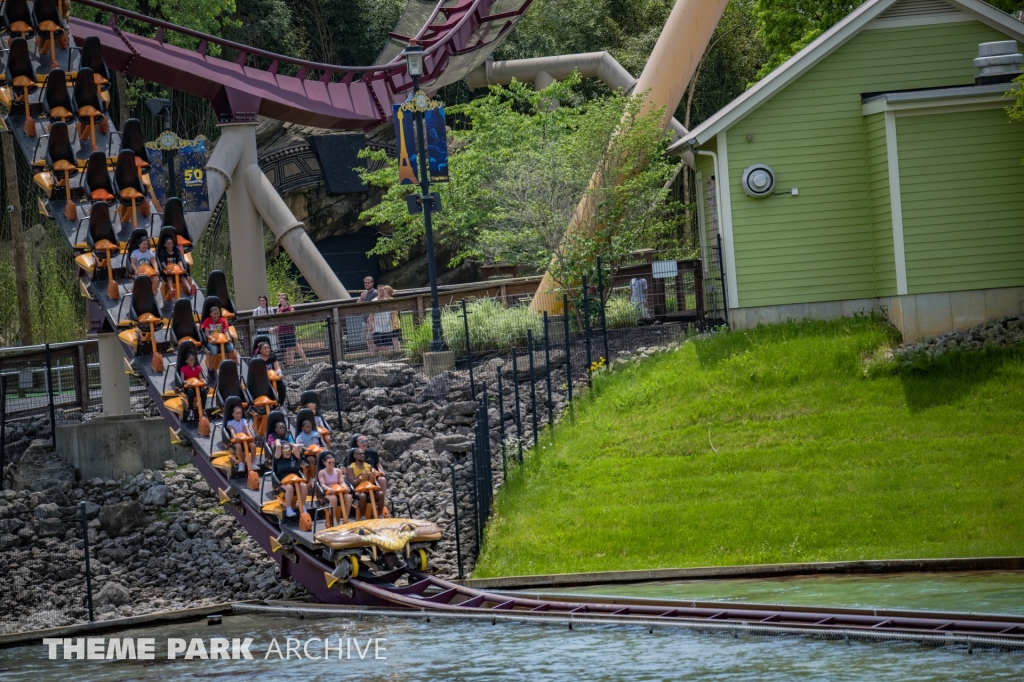 Diamondback at Kings Island
