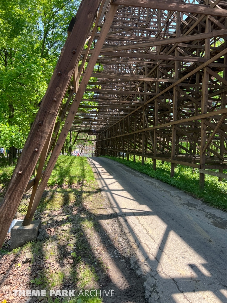 The Beast at Kings Island