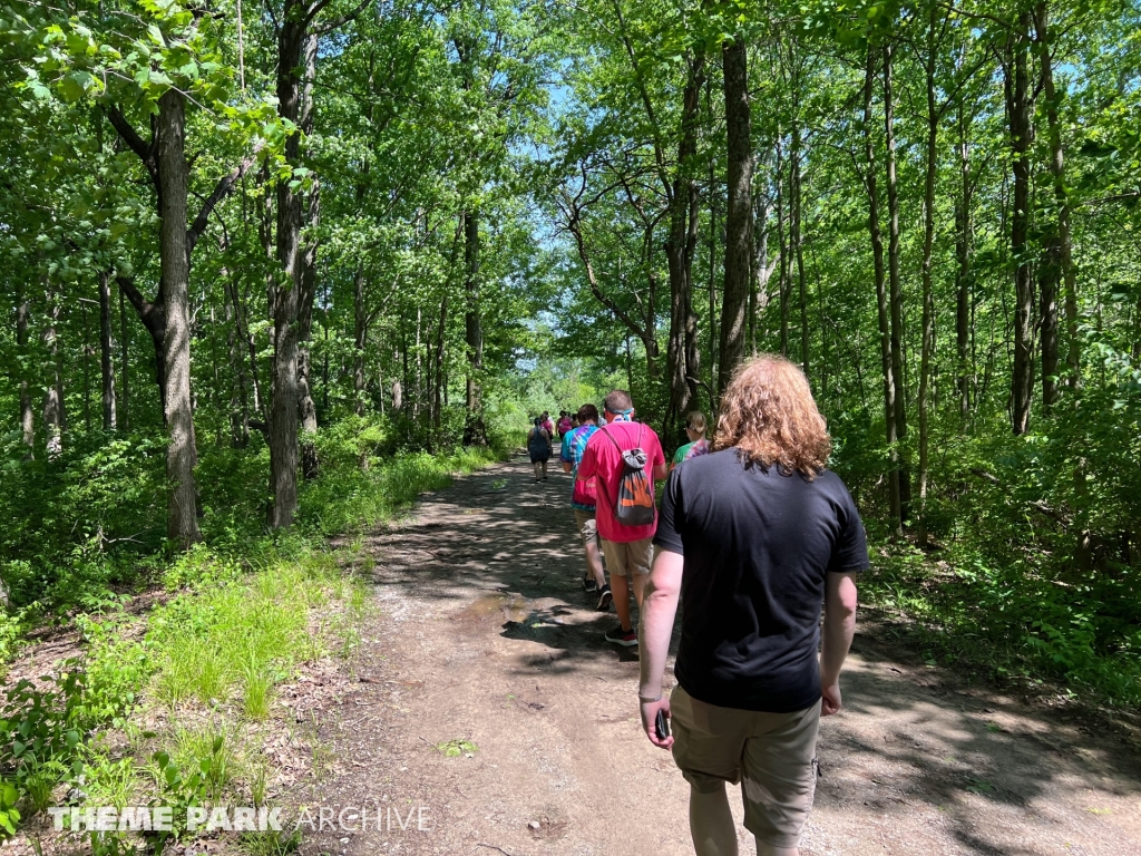 The Beast at Kings Island