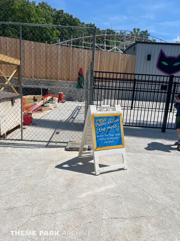 Catwoman Whip at Six Flags St. Louis