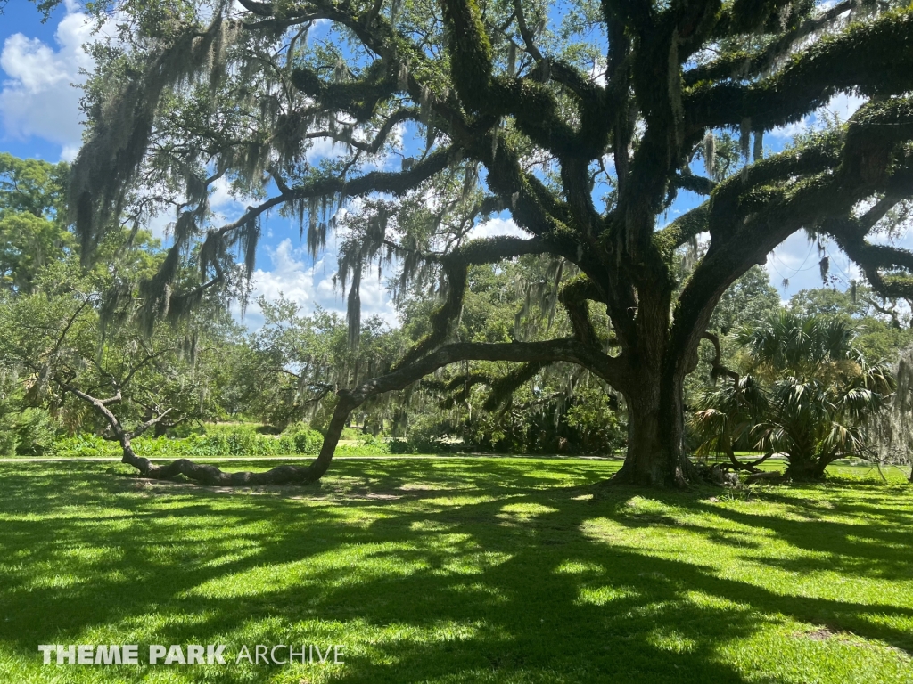 Train at Carousel Gardens Amusement Park