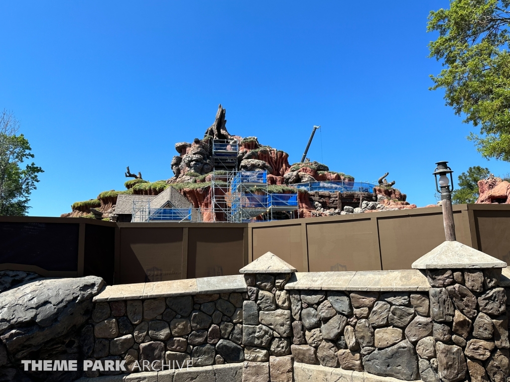 Tiana's Bayou Adventure at Magic Kingdom