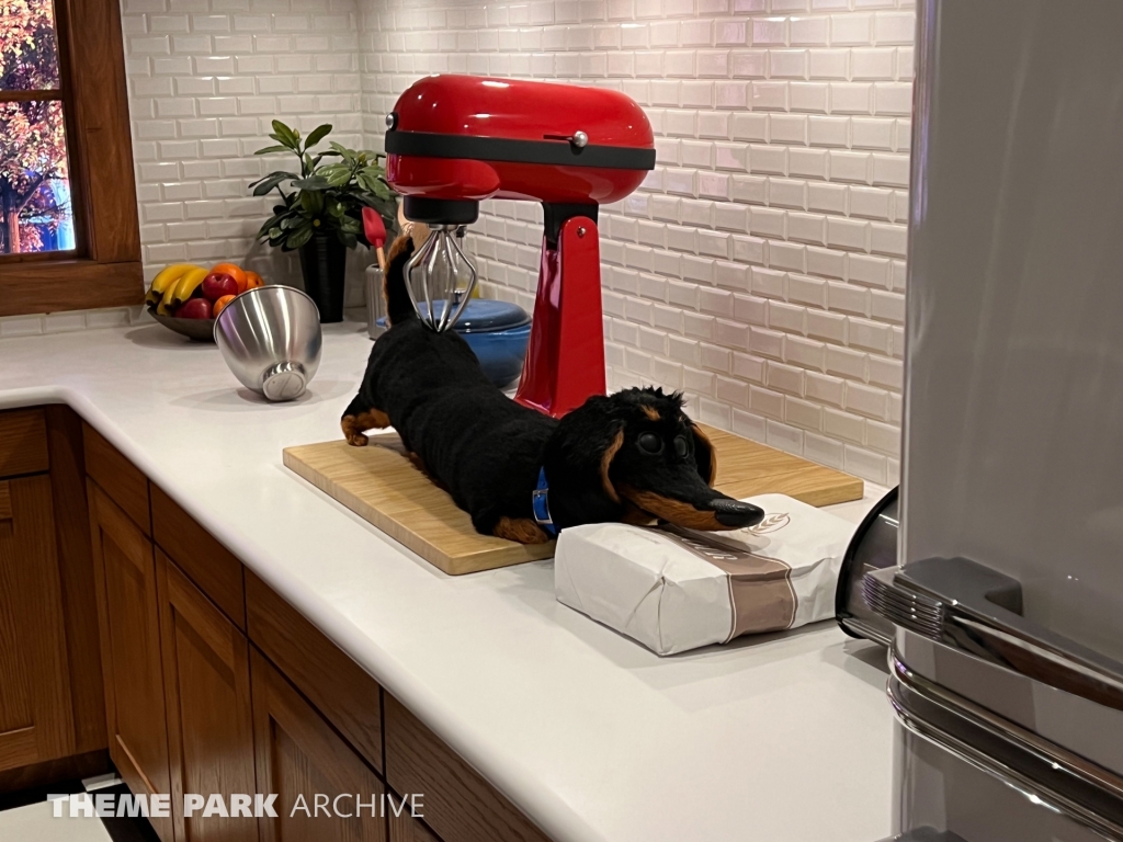 The Secret Life of Pets: Off the Leash at Universal Studios Hollywood