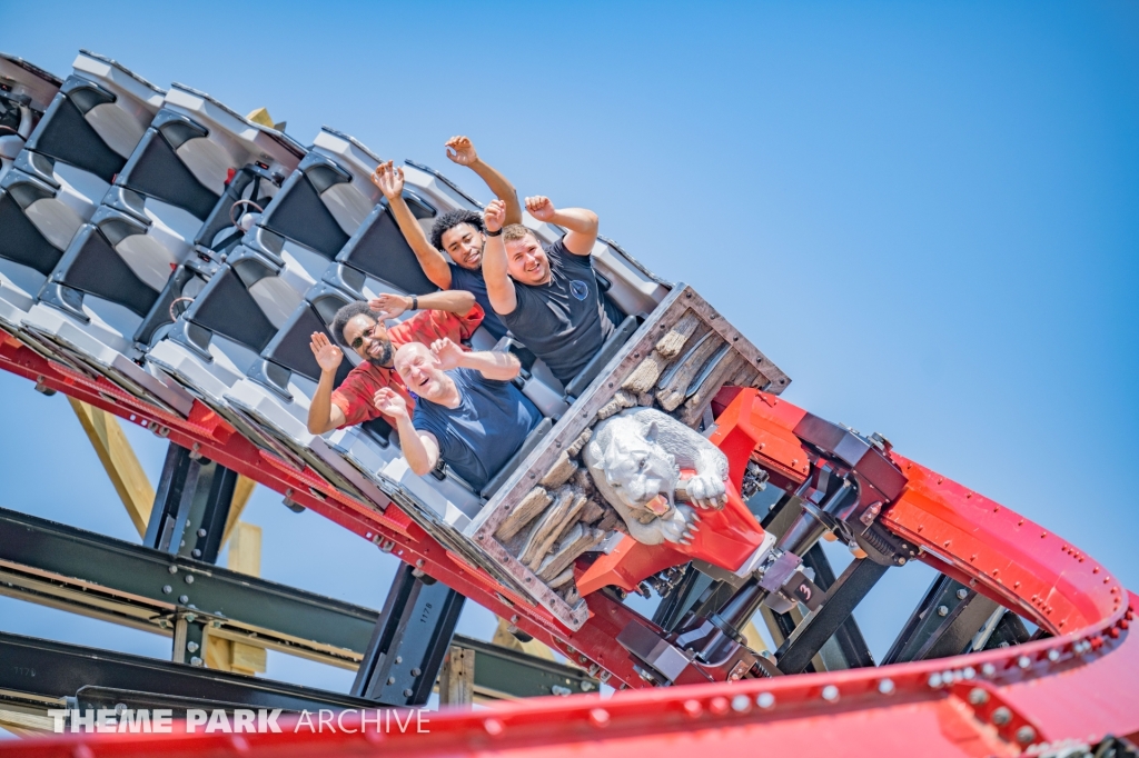 Wildcat's Revenge at Hersheypark