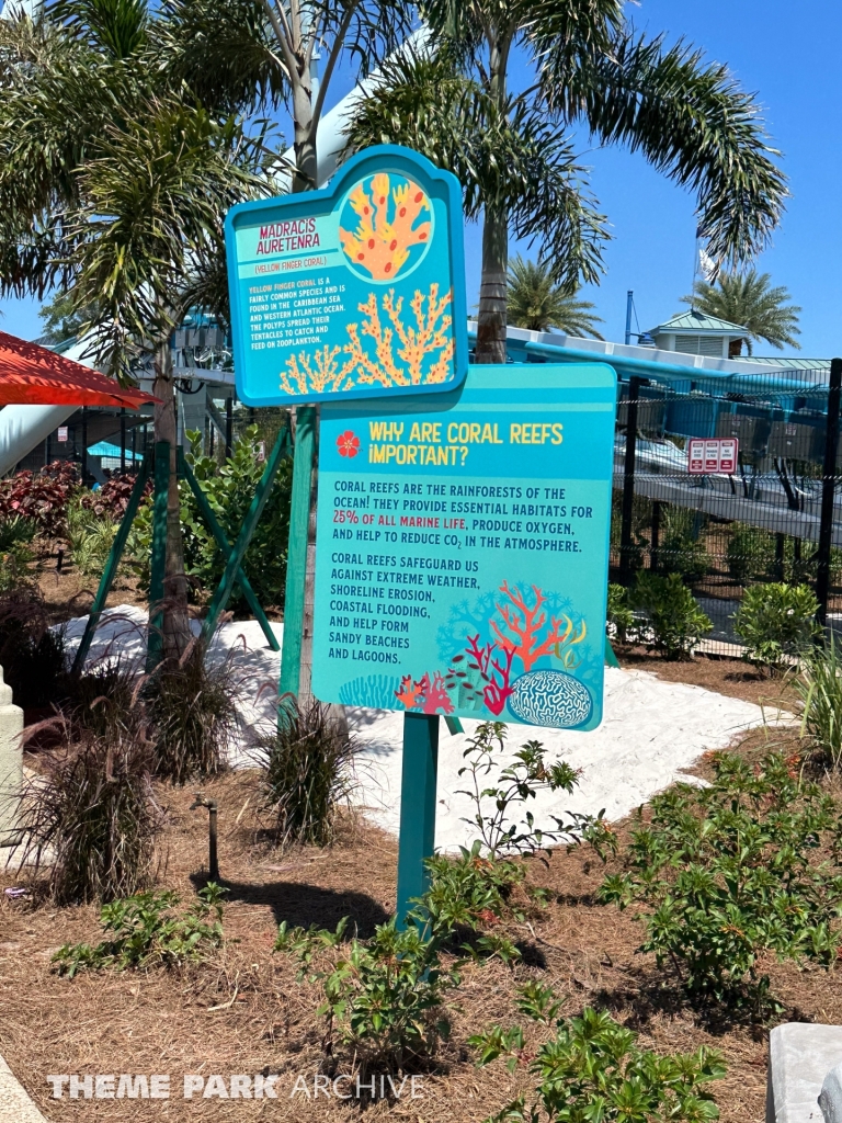 Pipeline: The Surf Coaster at SeaWorld Orlando