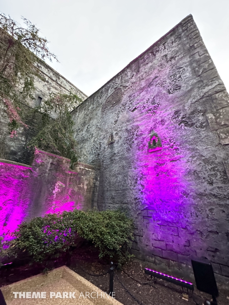 DarKoaster at Busch Gardens Williamsburg