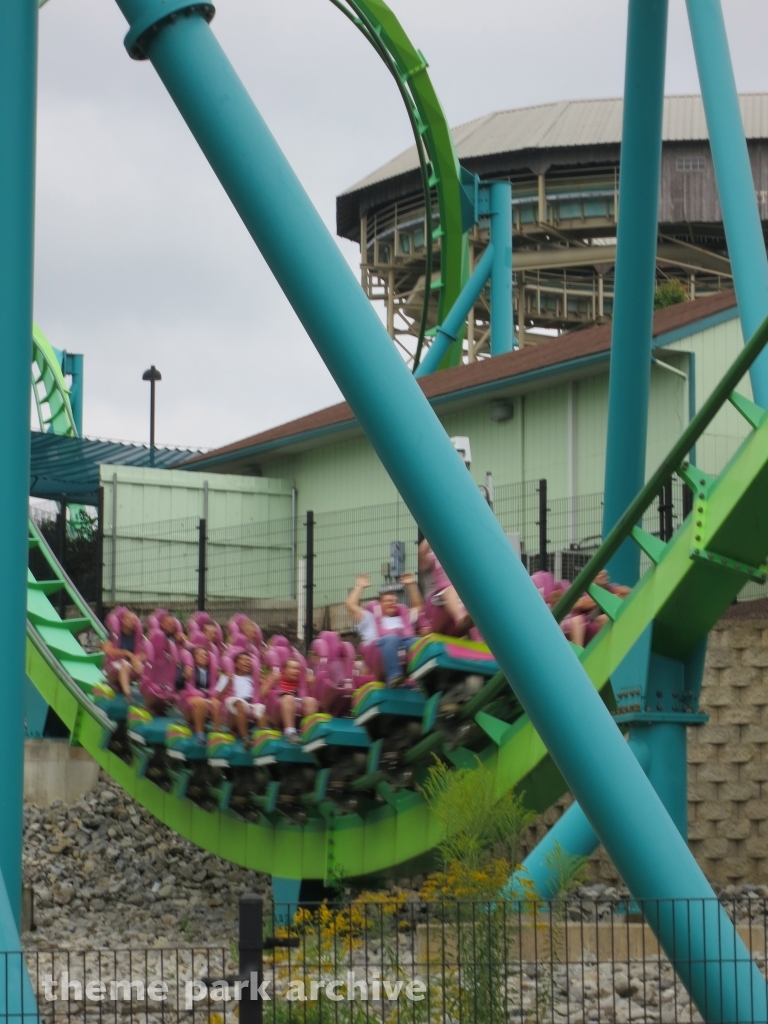 Hydra The Revenge at Dorney Park