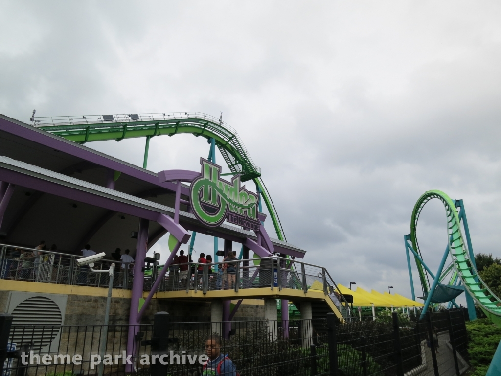 Hydra The Revenge at Dorney Park