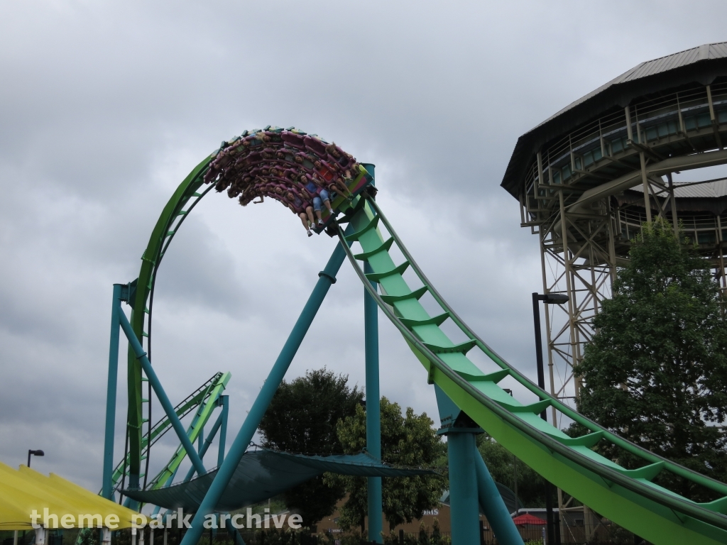 Hydra The Revenge at Dorney Park
