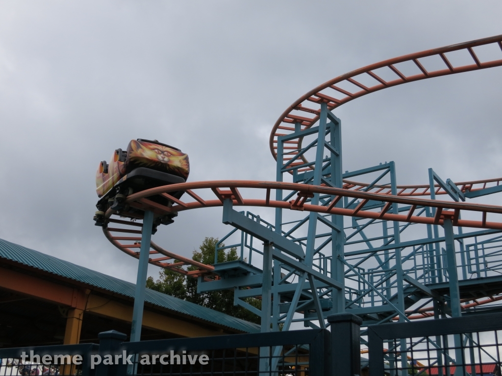 Wild Mouse at Dorney Park