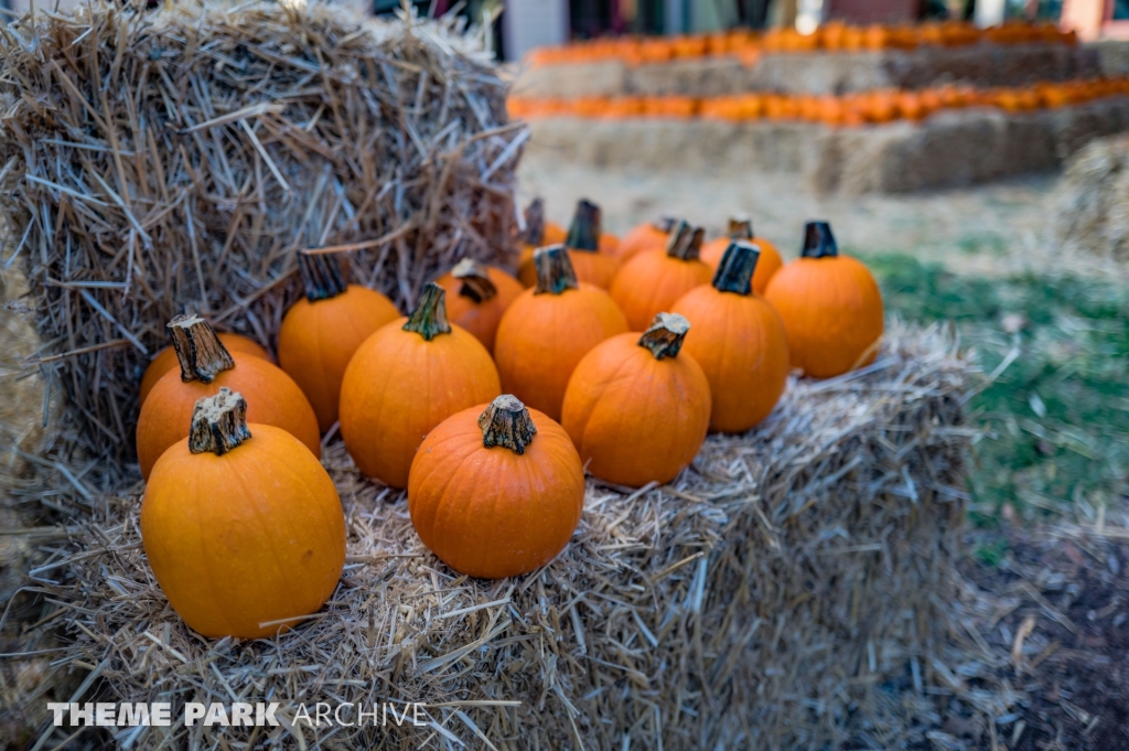 SCarowinds at Carowinds