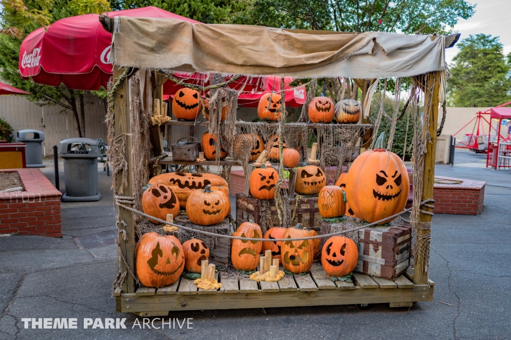 SCarowinds at Carowinds