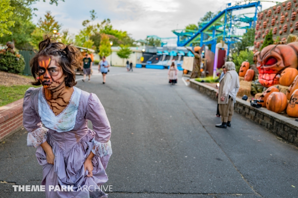 SCarowinds at Carowinds
