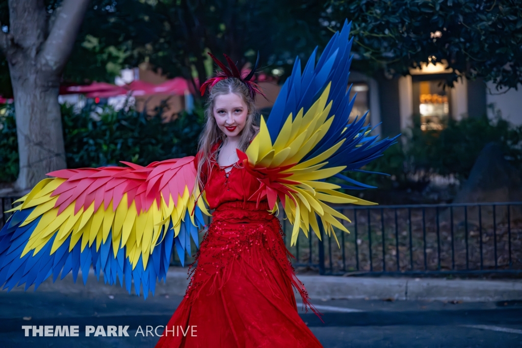SCarowinds at Carowinds