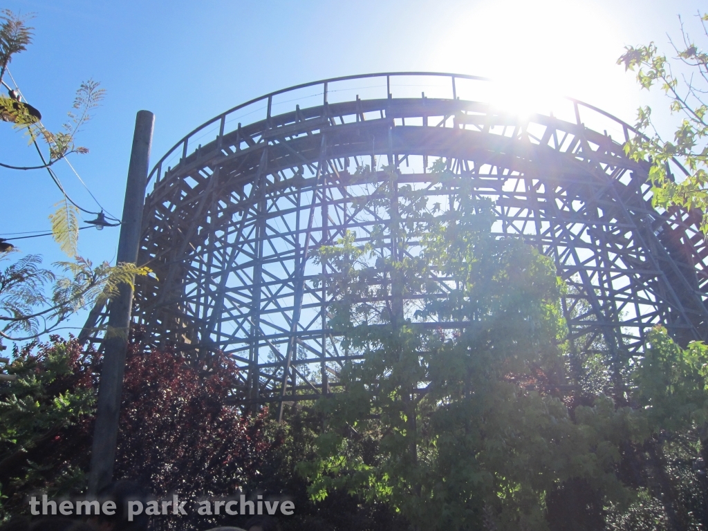 Grizzly at California's Great America