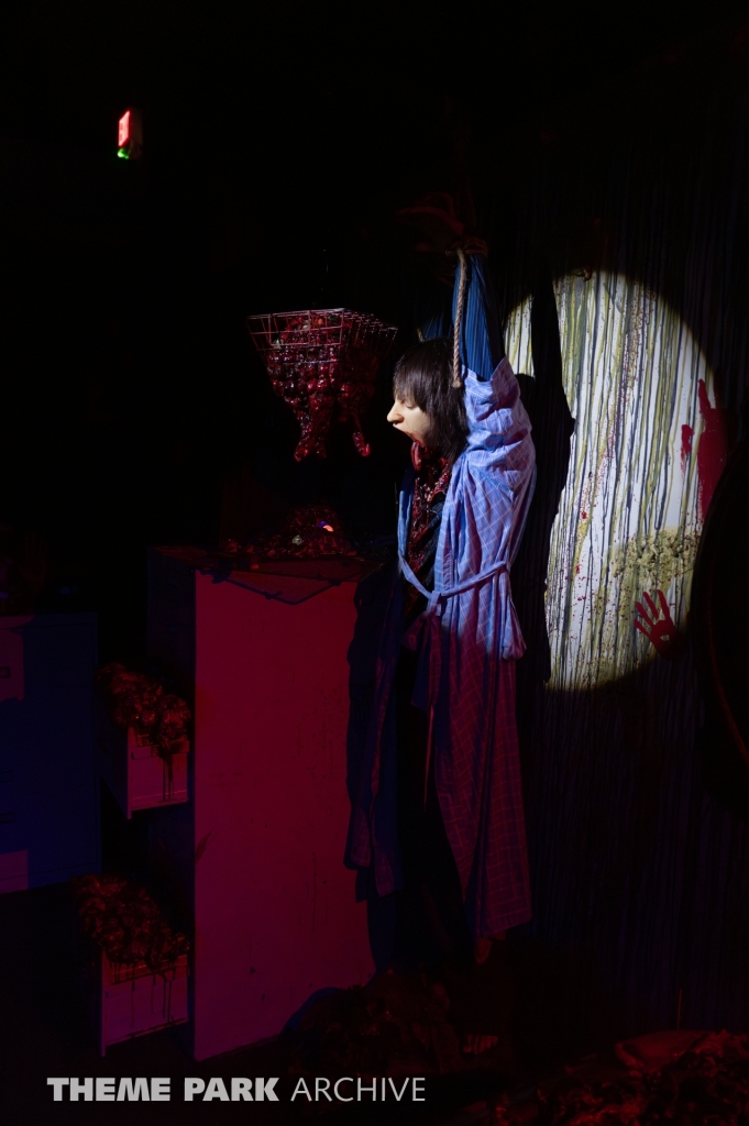 SCarowinds at Carowinds