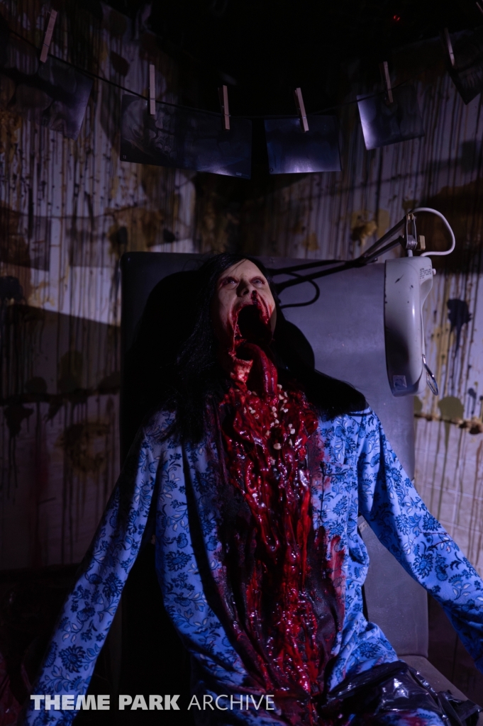 SCarowinds at Carowinds