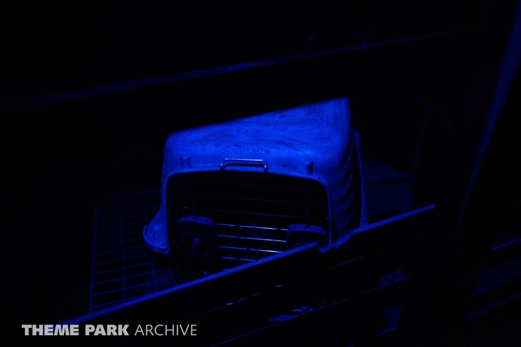 SCarowinds at Carowinds