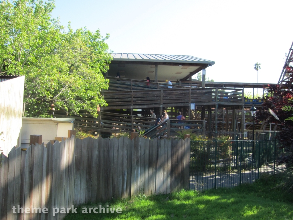 Grizzly at California's Great America