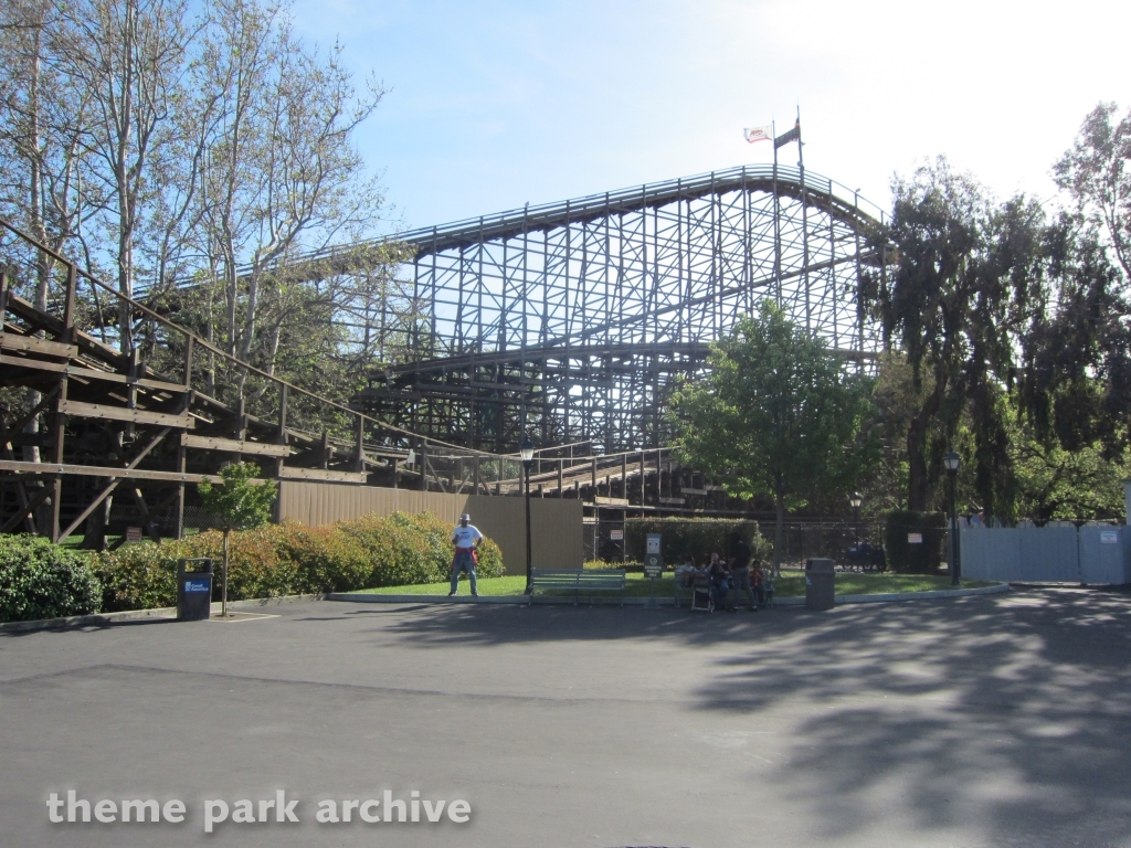Grizzly at California's Great America