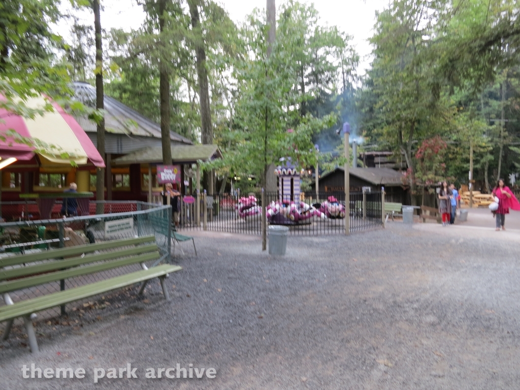 Goin' Buggy at Knoebels Amusement Resort