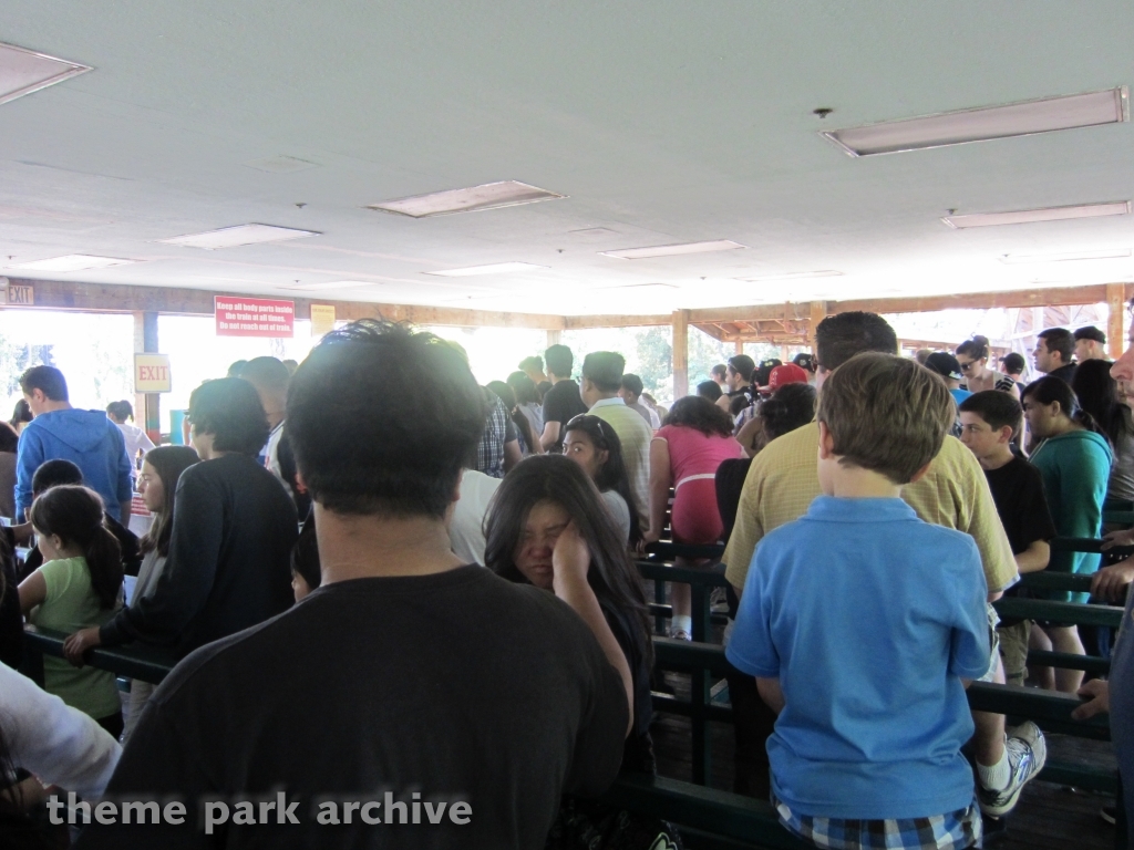 Grizzly at California's Great America