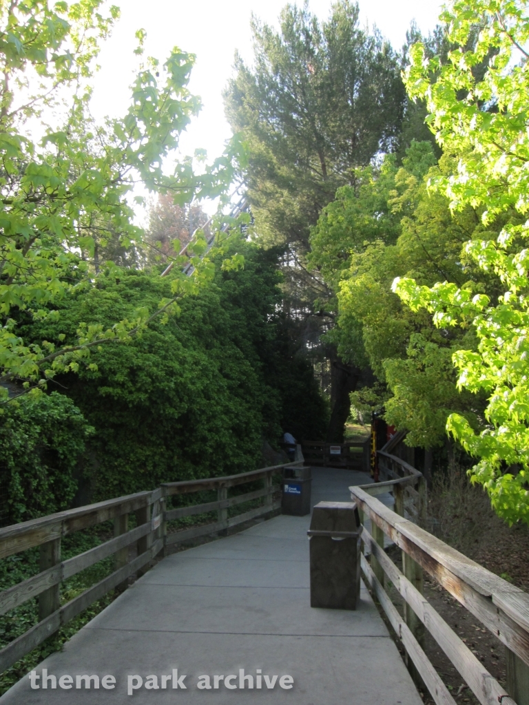 Demon at California's Great America