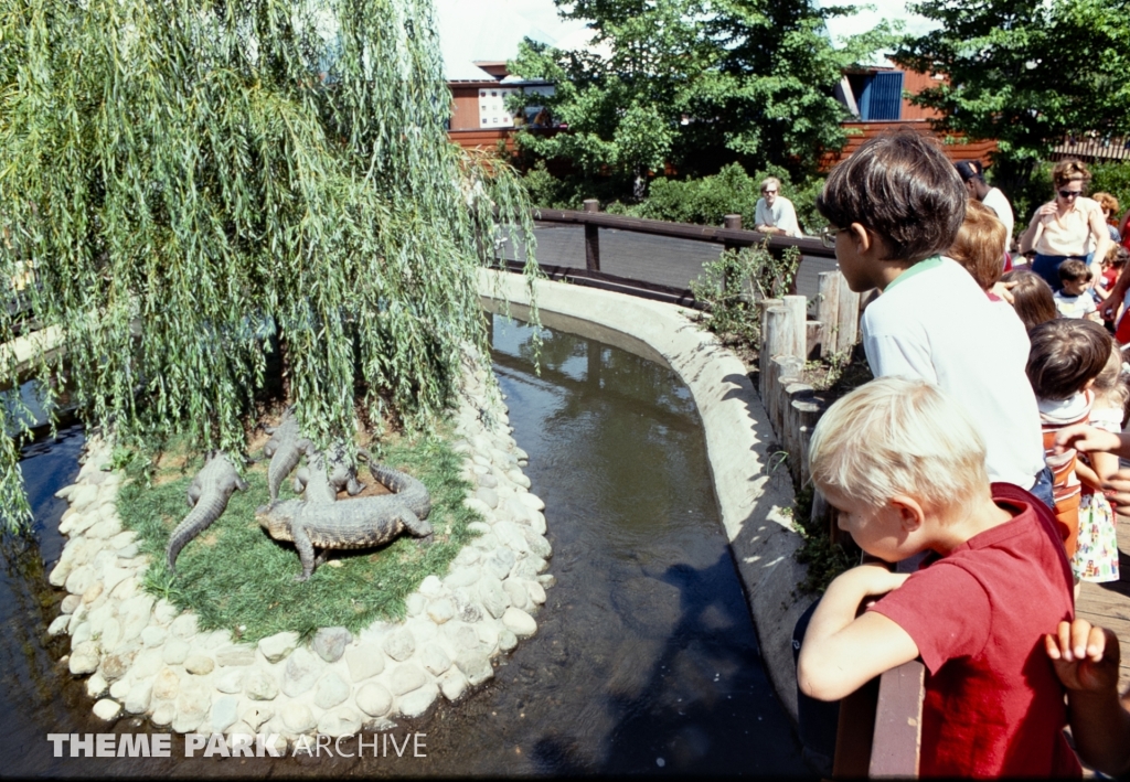 Alligator Exhibit at SeaWorld Ohio