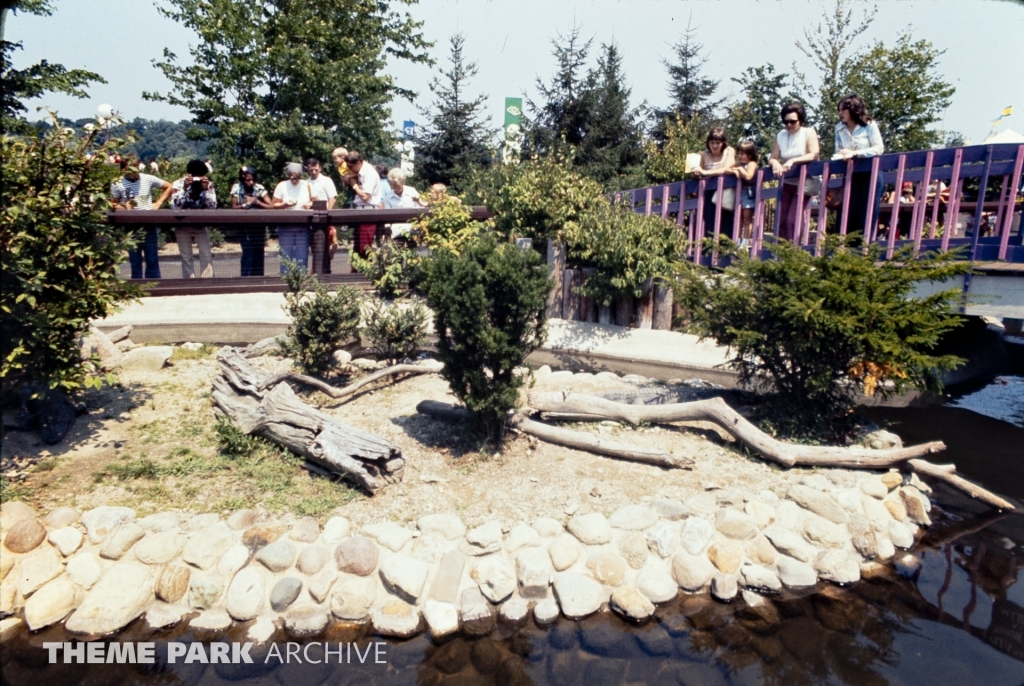 Alligator Exhibit at SeaWorld Ohio