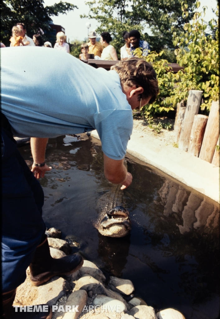 Alligator Exhibit at SeaWorld Ohio