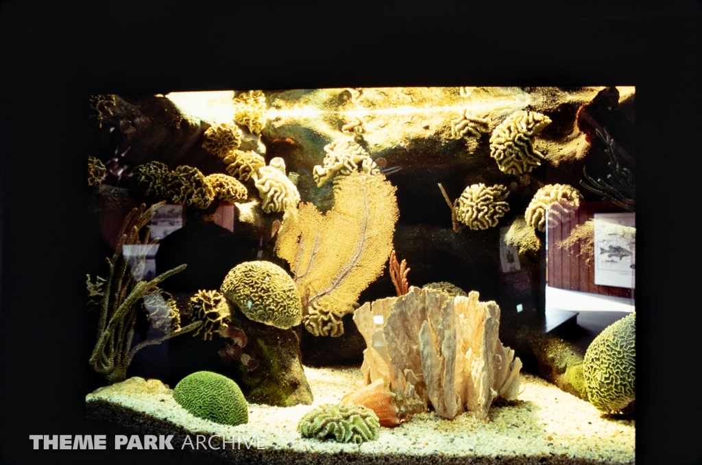 World of the Sea Aquarium at SeaWorld Ohio