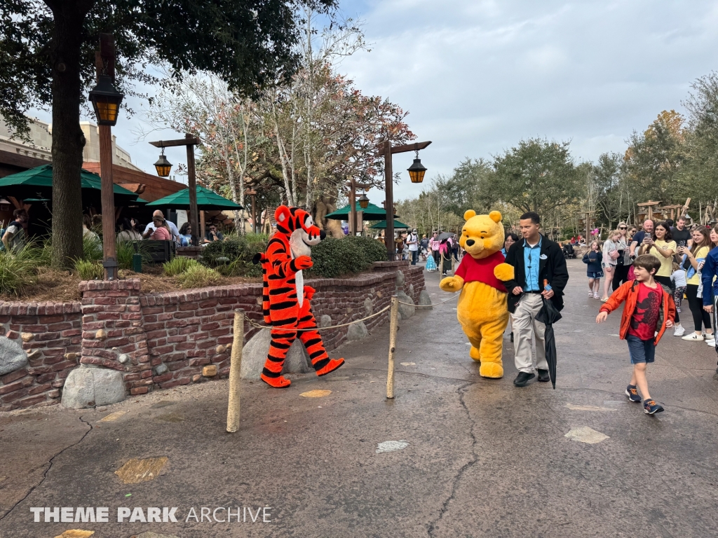 Fantasyland at Magic Kingdom