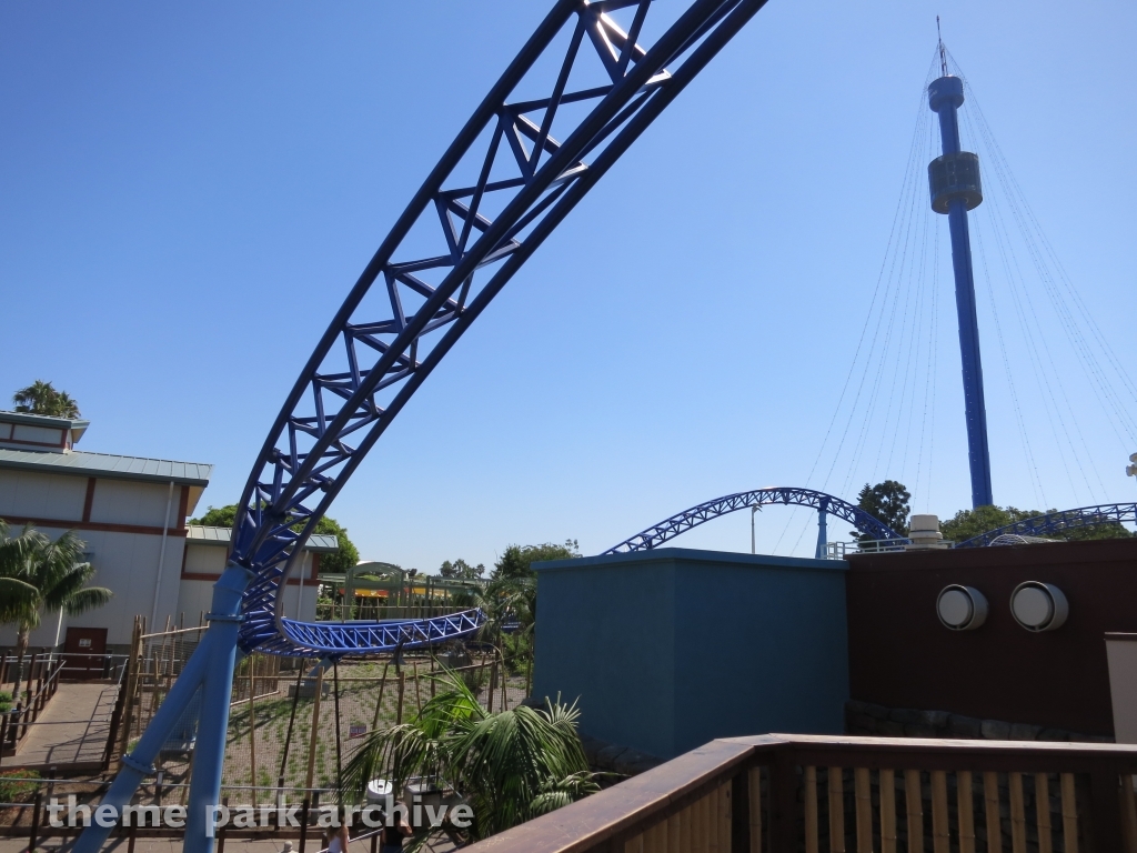 Manta at SeaWorld San Diego