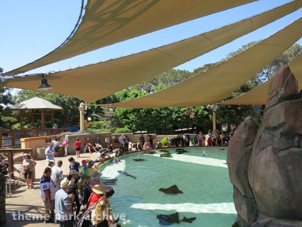 Manta at SeaWorld San Diego