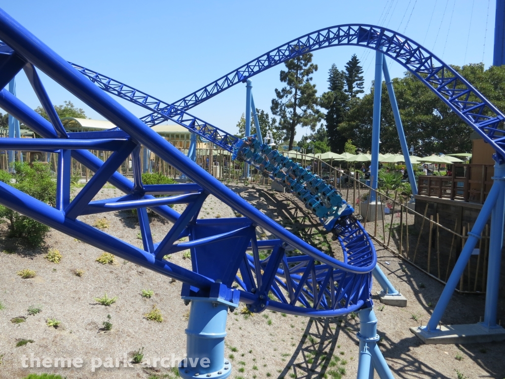 Manta at SeaWorld San Diego