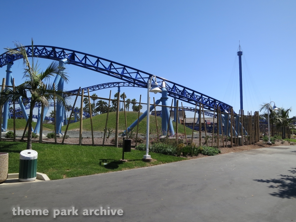 Manta at SeaWorld San Diego