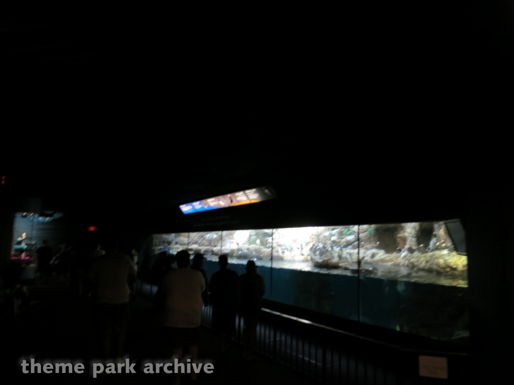 Penguin Encounter at SeaWorld San Diego