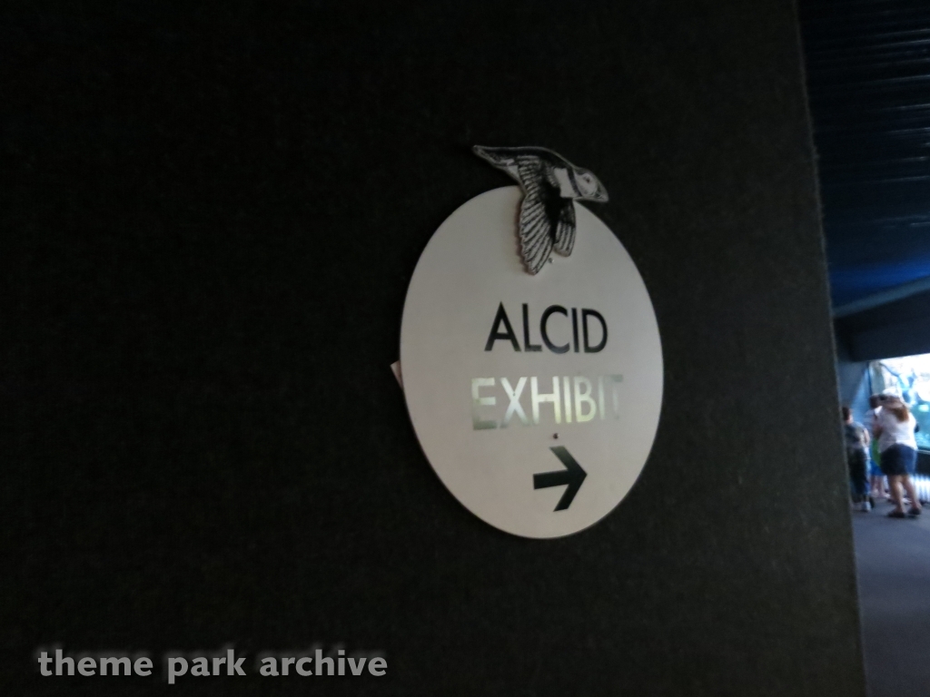 Penguin Encounter at SeaWorld San Diego