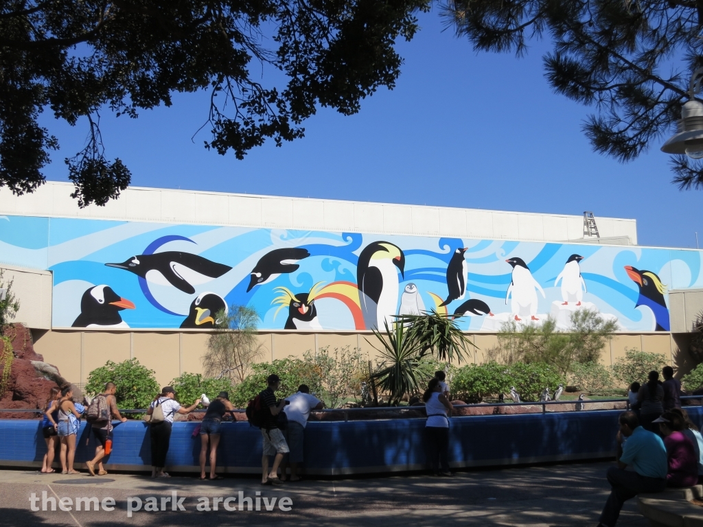 Penguin Encounter at SeaWorld San Diego