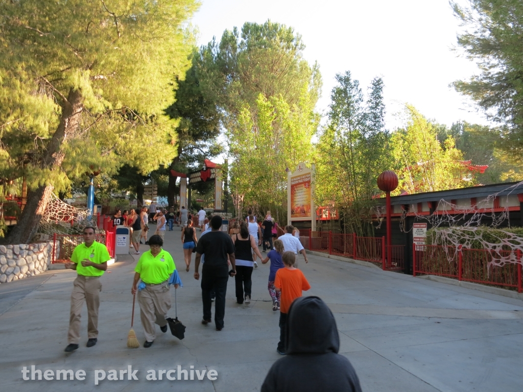 Ninja at Six Flags Magic Mountain