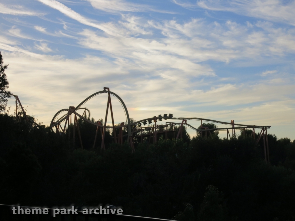 Tatsu at Six Flags Magic Mountain