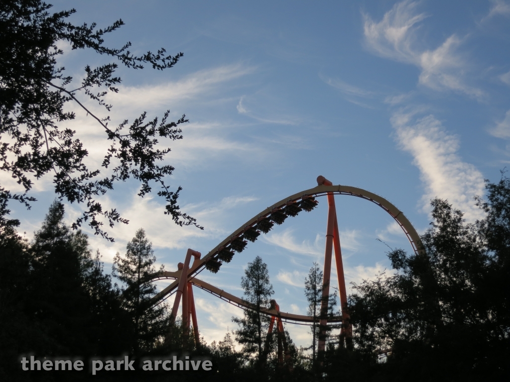 Tatsu at Six Flags Magic Mountain