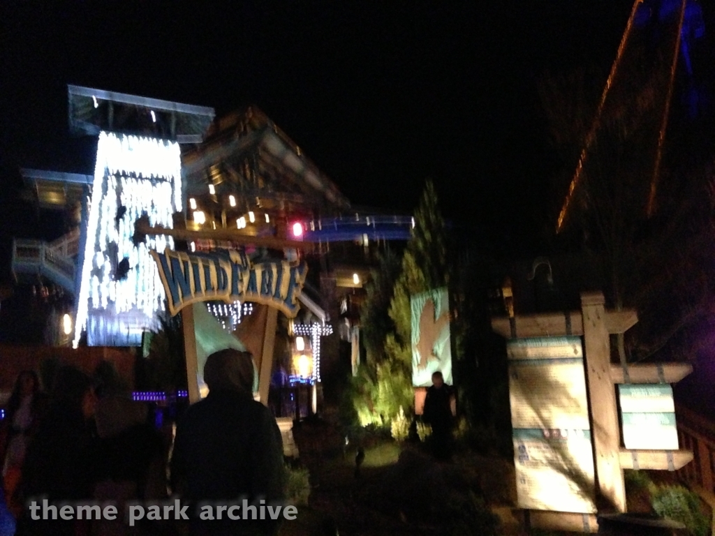 Wild Eagle at Dollywood