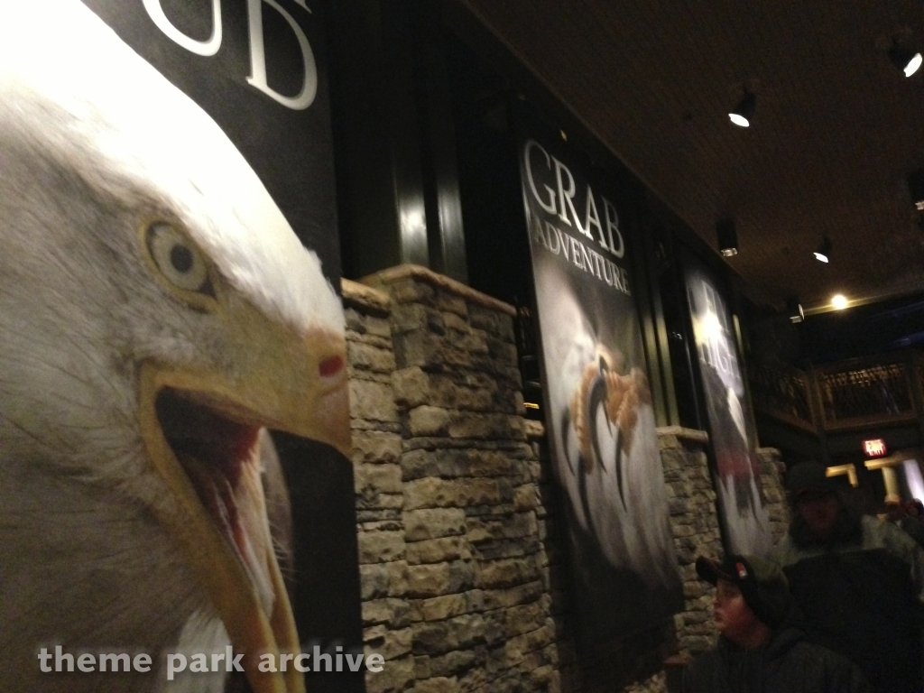 Wild Eagle at Dollywood