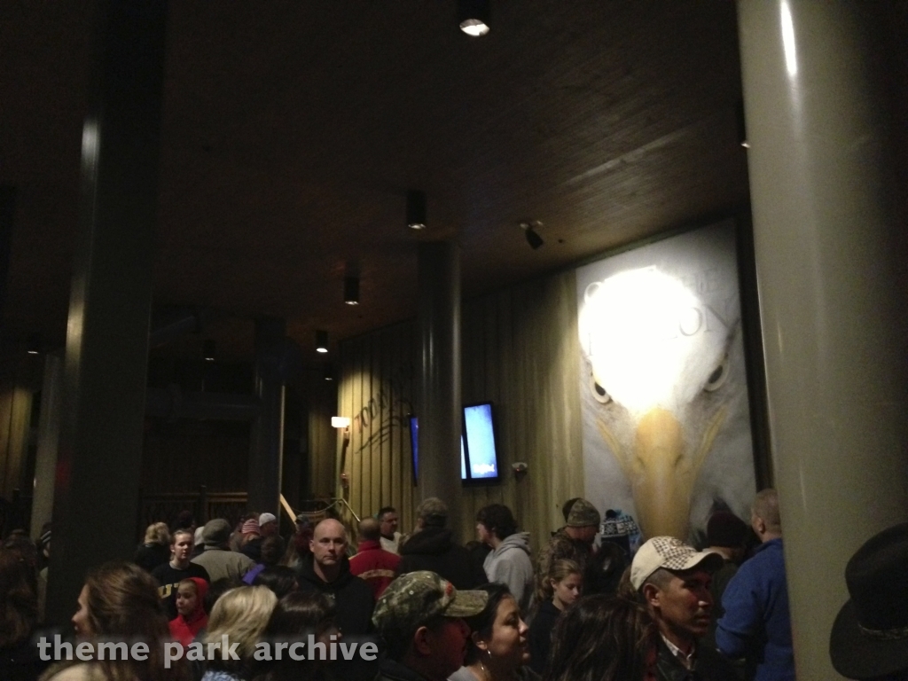 Wild Eagle at Dollywood