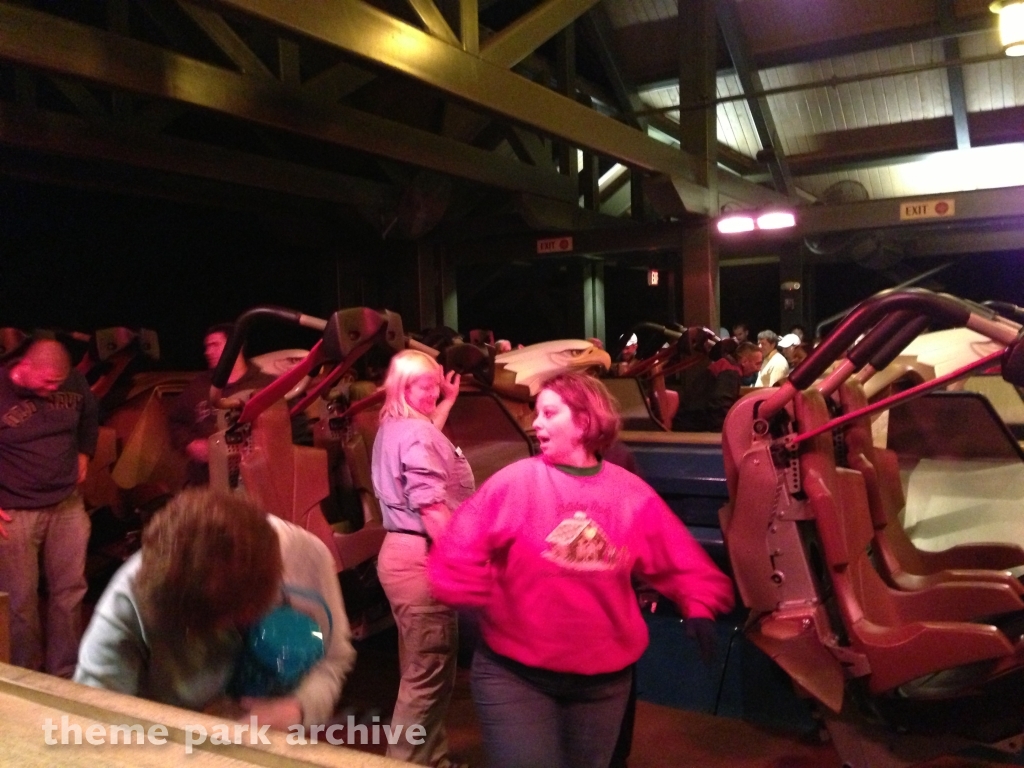 Wild Eagle at Dollywood